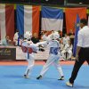 Taekwondo Turnier in Charleroi 2016